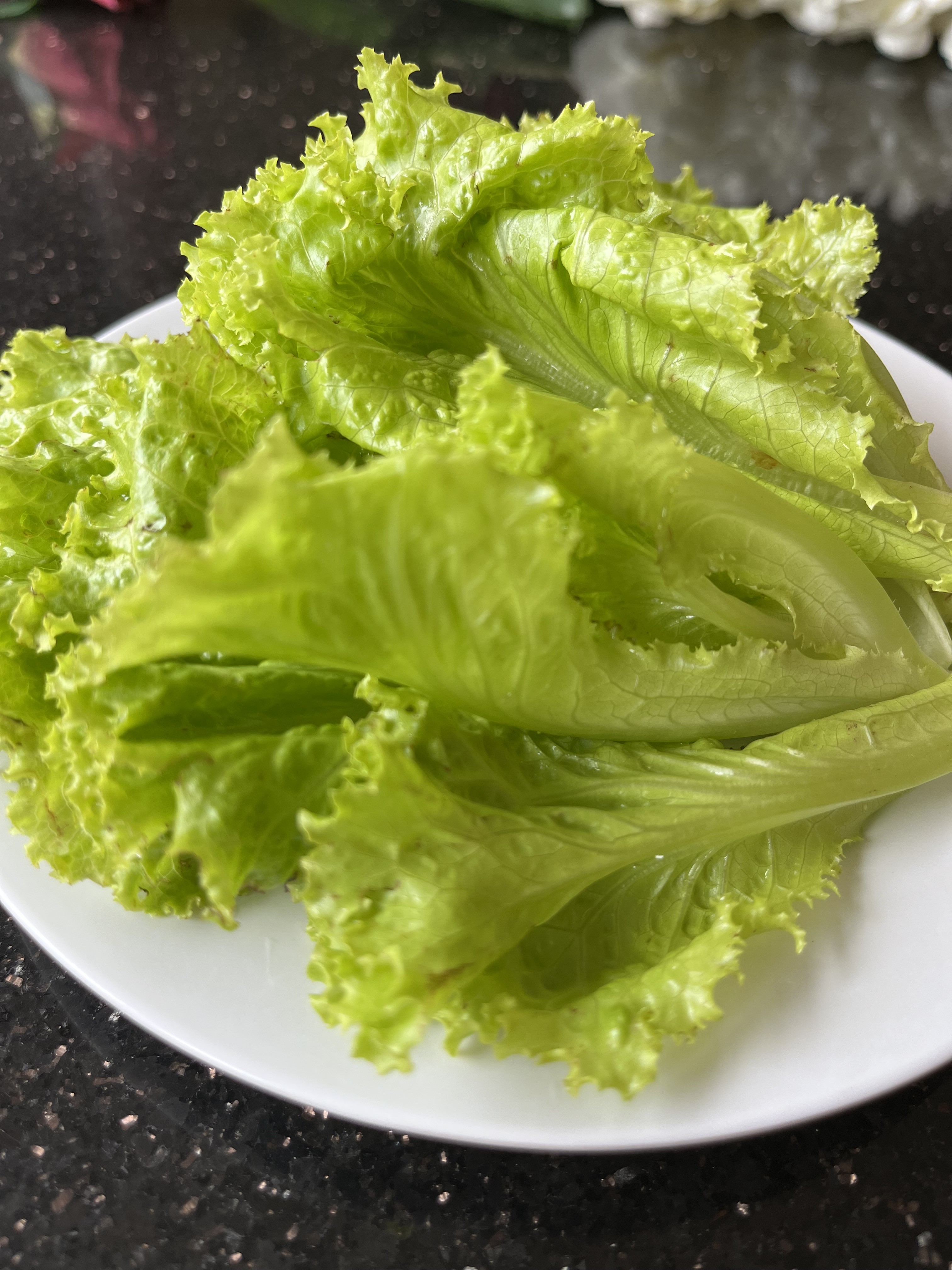 Lettuce Hanamasa